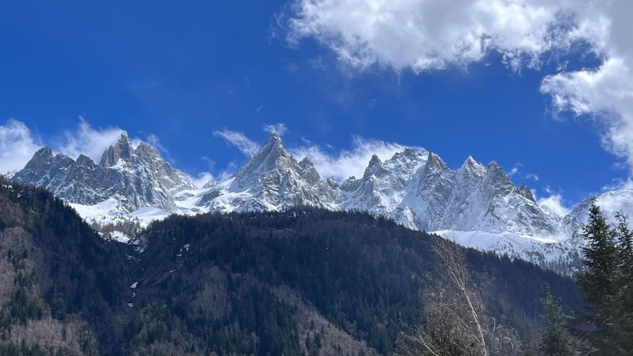 Appartement Type Dans Centre Chamonix